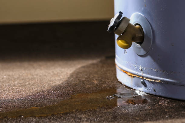 Best Ceiling water damage repair  in Nephi, UT
