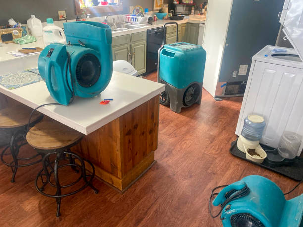 Best Sewage cleanup and water damage restoration  in Nephi, UT