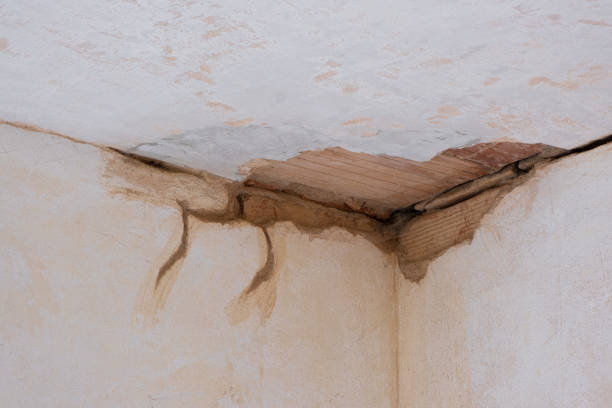 Reliable Nephi, UT Water damage restoration Solutions