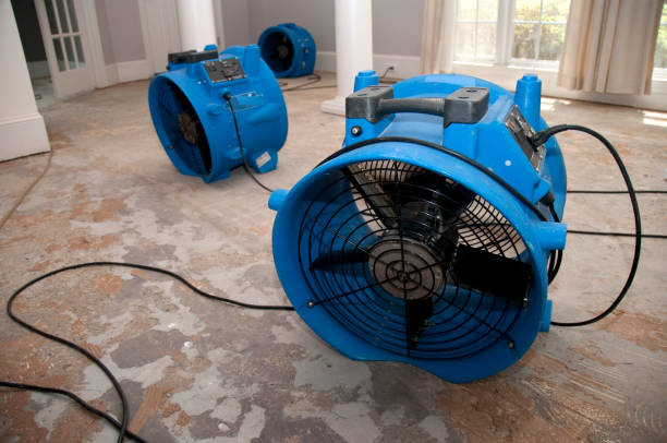 Best Flood damage cleanup  in Nephi, UT