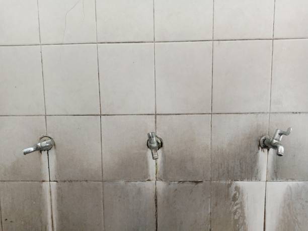 Best Fire Damage Restoration  in Nephi, UT