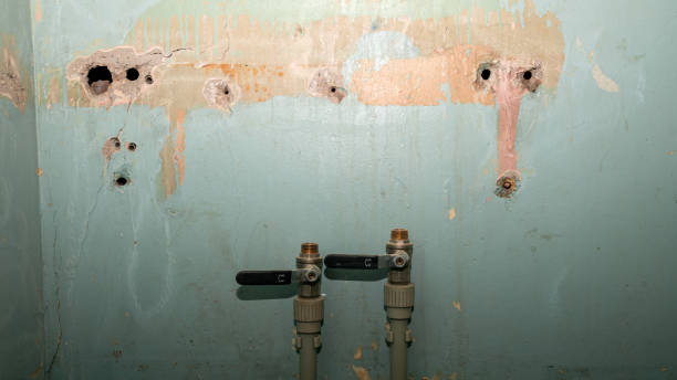 Best Water damage mitigation services  in Nephi, UT
