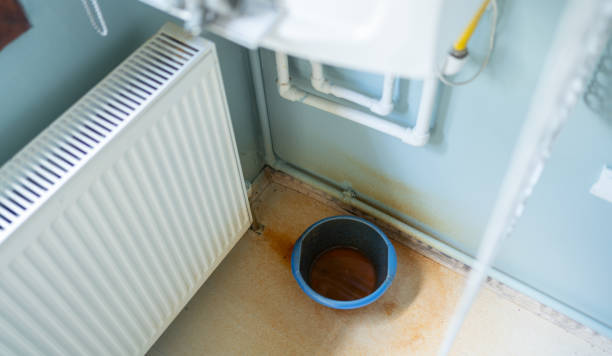 Best Water damage cleanup near me  in Nephi, UT