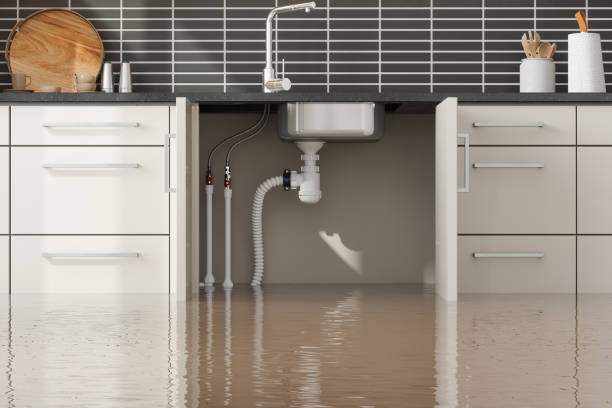 Best Carpet water damage restoration  in Nephi, UT
