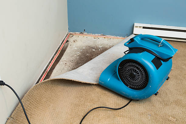Best Residential water damage restoration  in Nephi, UT